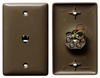 Datacommunication Face Plate with Jack - NS730 - Hubbell Incorporated