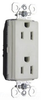 Duplex/Single Receptacle - PTTR26262-LA - Hubbell Wiring Device-Kellems