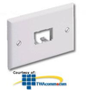 Panduit® Mini-Com Classic Series Faceplate - CFPH2 - TelephoneStuff.com