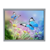 LCD, OLED, Graphic - 73-TCG104XGLPAPNN-AN31-ND - DigiKey