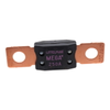 Circuit Protection - Fuses -- 0MEG250.L
