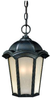 Exterior -Hanging - 653097 - Light Center (The)
