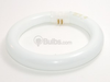 22 Watt, 8" Diameter Daylight White T9 Circline Bulb -- 392357 - Image