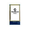 RF and Wireless - RF Transceiver Modules and Modems - RN52SRC-I/RM100 - Shenzhen Shengyu Electronics Technology Limited