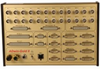 Real-Time Data Acquisition System -- ADwin-Gold II - Image