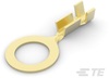 Ring Terminals & Spade Terminals - 60555-2 - TE Connectivity