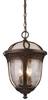 08188-HB Exterior -Hanging - 652751 - Capital Lighting, Inc.
