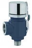Safety Relief Valves - Image