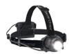 Head Torches -- 333733 - Image