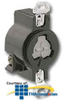 Leviton 20Amp 125V Single Flush Receptacle -- 23000-HG - Image
