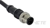 M8/M12 Cable Assemblies - 1838240-2 - TE Connectivity