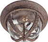 40212WGET Exterior -Ceiling Mount - 408337 - Capital Lighting, Inc.