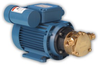 50010 Bronze AC Pump -- 50010-2413