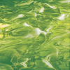 Moss Green/White, wispy Glass - 826-92S - Spectrum Glass Company, Inc.