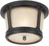 Exterior -Ceiling Mount - 21128 - Light Center (The)