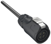 Cable Assy, 4P Cir Plug-Free End, 3M; Connector To Connector Amphenol Communications Solutions - 26AK7389 - Newark, An Avnet Company