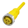 BALF Sensor Cordsets - BCC099F - Galco Industrial Electronics