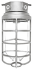 Vaporproof Incandescent Fixture with Globe and Guard - VX200DGS - RAB Lighting