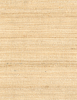 Mumbai Fabric - 6029/02 - Pollack
