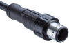 Sensor Cord, 17P M12 Plug-Free End, 2M; Connector Type A Amphenol Ltw - 36AJ5986 - Newark, An Avnet Company