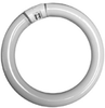 22 Watt Circline Fluorescent Bulb -- 231-006 - Image