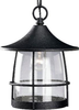 P5563-71 Exterior -Hanging - 765459 - Capital Lighting, Inc.