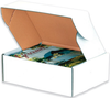 Deluxe Literature Mailers, 10