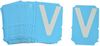 Brady Bradyglo Letter Label - Printed Msg = V - 6003-V - 754473-84244 - R. S. Hughes Company, Inc.