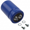 Aluminum Electrolytic Capacitors -- 565-3300-ND