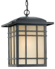 Exterior -Hanging - 23601 - Light Center (The)