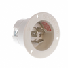 Plugs and Receptacles - WM22385-ND - DigiKey