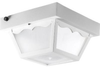 Exterior -Ceiling Mount - 61246 - Light Center (The)