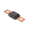 Circuit Protection - Fuses -- 0MEG250.X