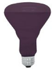 Incandescent Lamps - R30 - 75R30/BLB - 22748 - Kennedy Webster Electric Co.