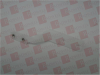 Printer Accessory/Component - 93314197 - Radwell International