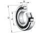Precision Cylindrical Roller Bearings - NUP219-E-XL-TVP2 - Pacific International Bearing, Inc.