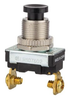 Specialty Pushbutton Switch -- 76065PS - Image