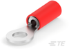 Ring Terminals - 31888 - TE Connectivity