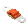Circuit Protection - Fuses - 1361585-153.5631.5301 - Win Source Electronics
