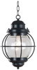 Exterior -Hanging - 214139 - Light Center (The)