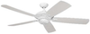 5CY60WH Fans-Wet Location - 757262 - Capital Lighting, Inc.