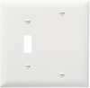 Combination Openings, 1 Toggle Switch & 1 Blank, Two Gang -- TP113W - Image