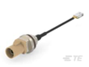 RF Cable Assemblies - 2550671-9 - TE Connectivity
