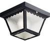 Exterior -Ceiling Mount - 234988 - Light Center (The)