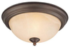20011-OB Flush Mounts-Bowl Style - 718743 - Capital Lighting, Inc.