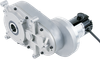 Hollow Shaft Gearmotor 762 Series 90 VDC -- 011-762-2264