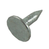 Nails -- 1701646 - Image