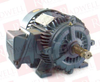 Motor - 51337905 - Radwell International