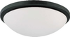 60-2948 Flush Mounts-Bowl Style - 403481 - Capital Lighting, Inc.