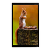 LCD Colour Displays - 428542 - RS Components, Ltd.